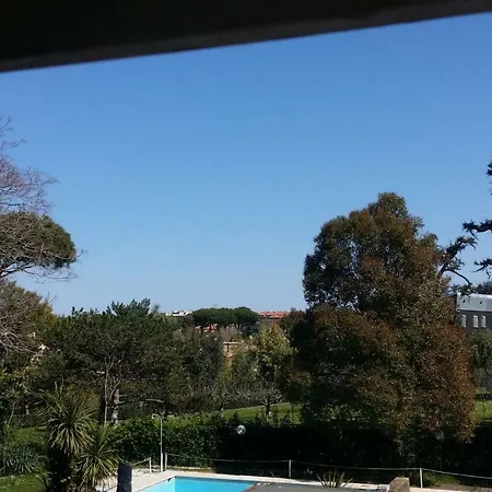 Aurelia Garden